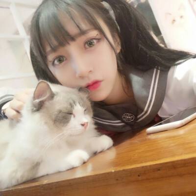 小毛贼模拟器手机版下载